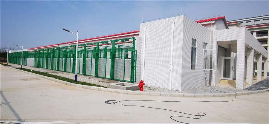 AG Club | The Originator of Live Casino