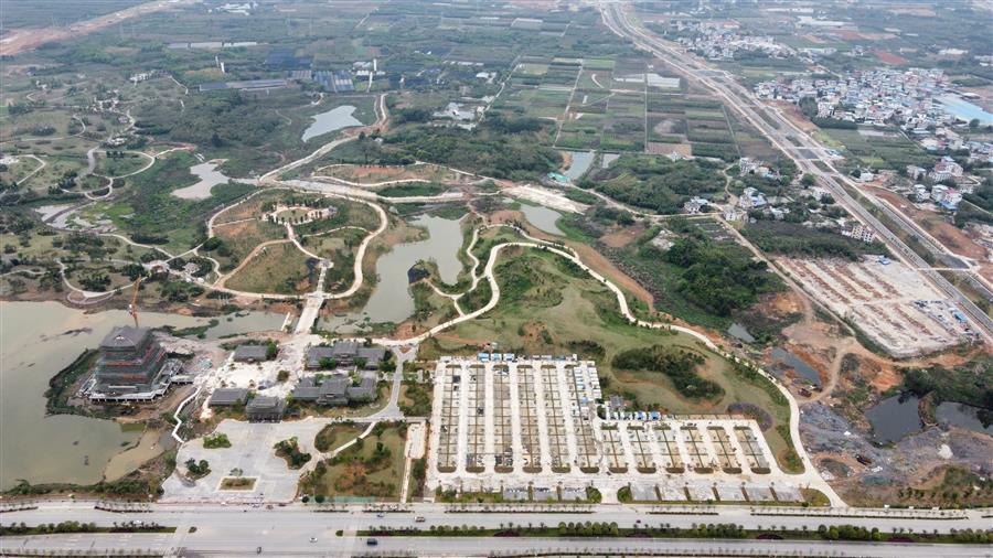 AG Club | The Originator of Live Casino