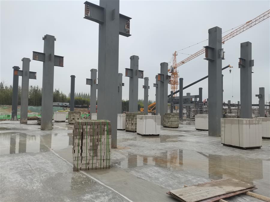 AG Club | The Originator of Live Casino