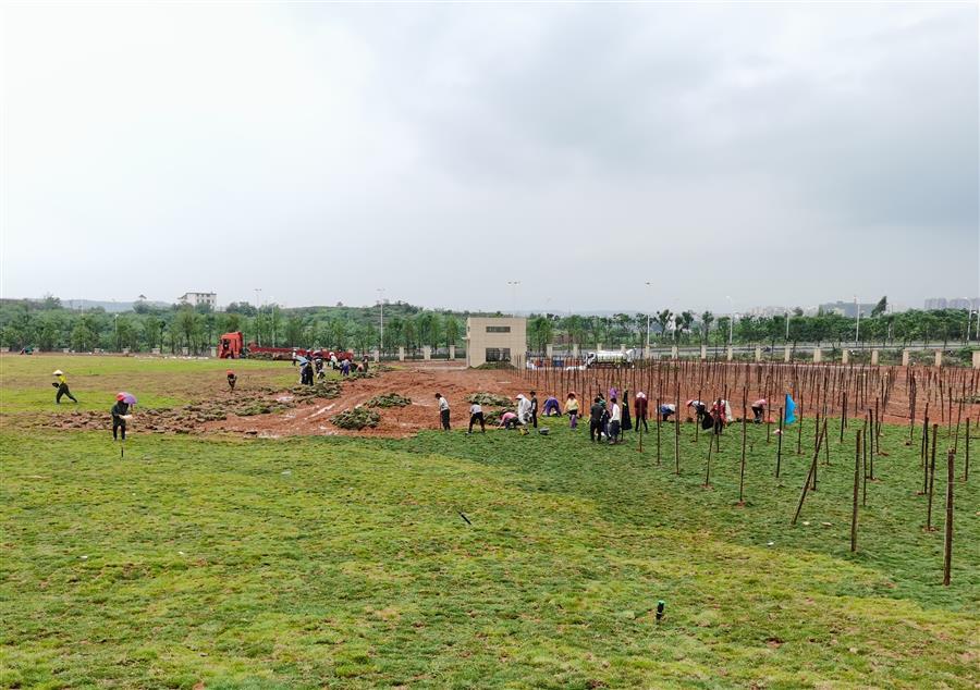 AG Club | The Originator of Live Casino