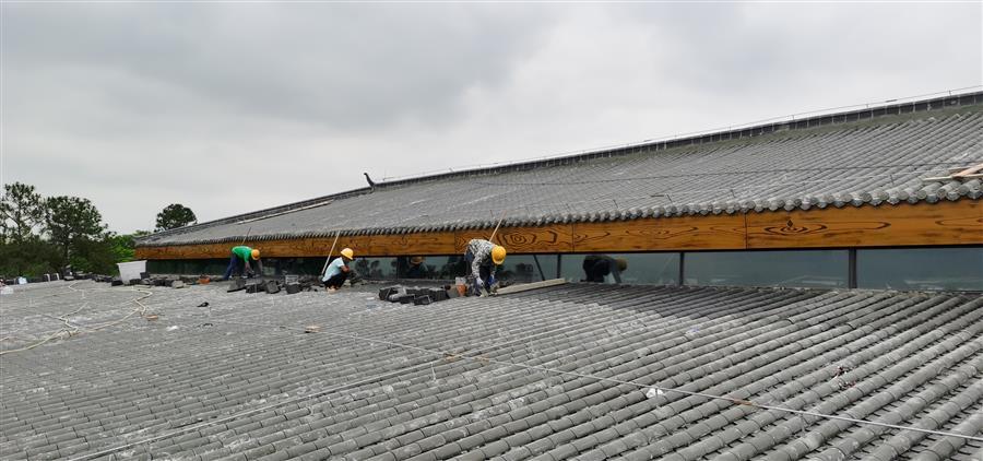 AG Club | The Originator of Live Casino