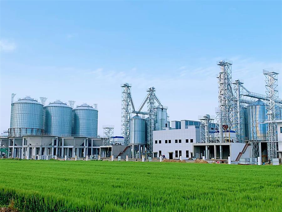 AG Club | The Originator of Live Casino