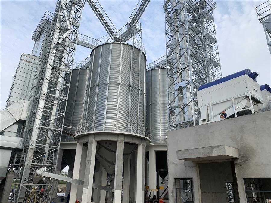 AG Club | The Originator of Live Casino