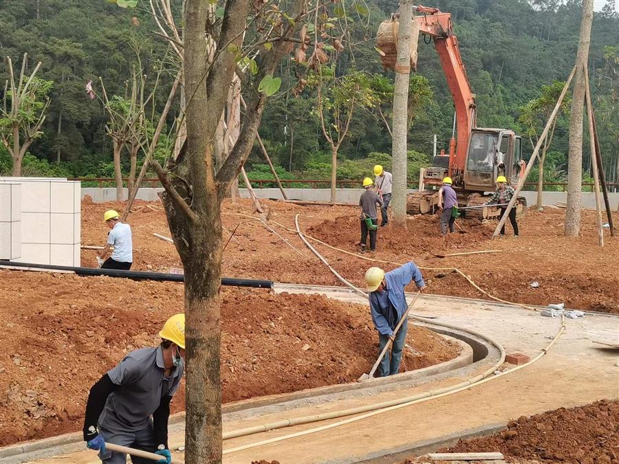 AG Club | The Originator of Live Casino