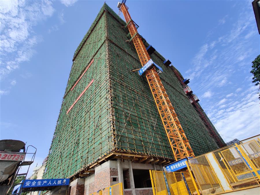 AG Club | The Originator of Live Casino