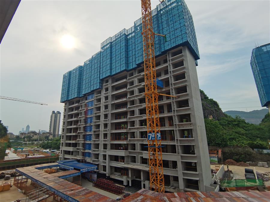 AG Club | The Originator of Live Casino