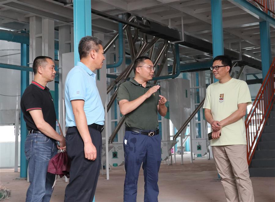 AG Club | The Originator of Live Casino