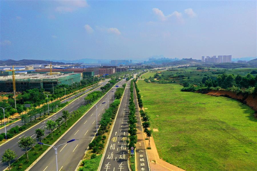 AG Club | The Originator of Live Casino