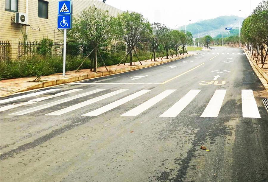 AG Club | The Originator of Live Casino