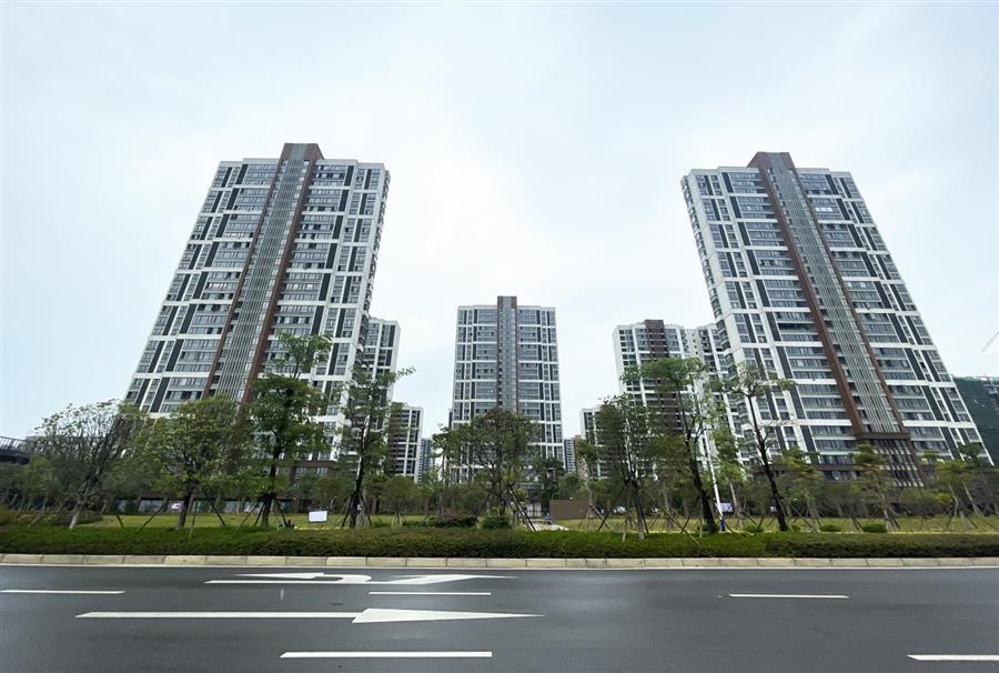 AG Club | The Originator of Live Casino