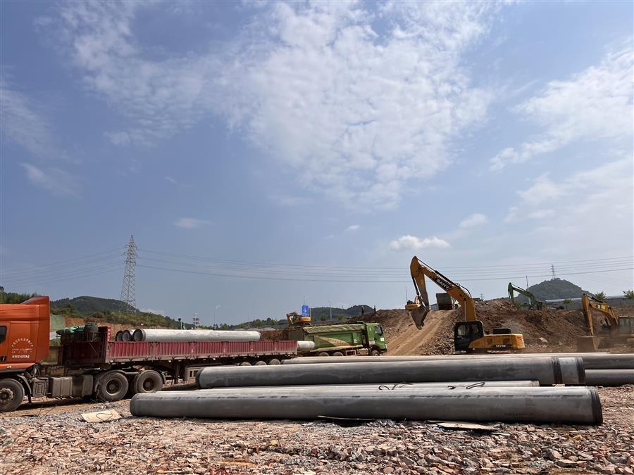 AG Club | The Originator of Live Casino