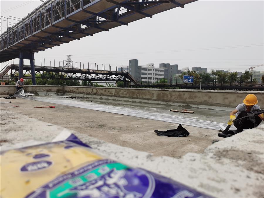 AG Club | The Originator of Live Casino