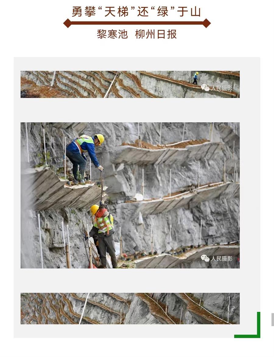 AG Club | The Originator of Live Casino