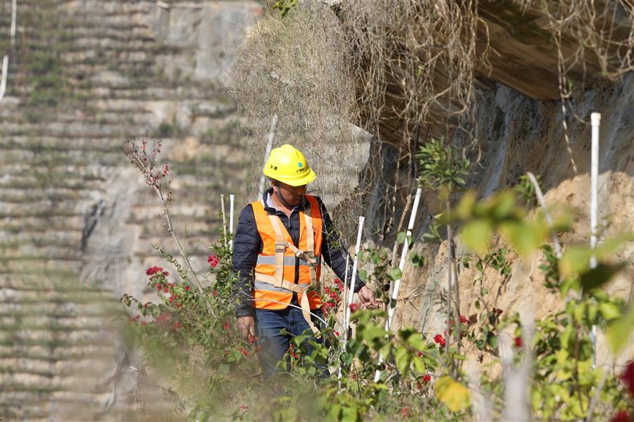 AG Club | The Originator of Live Casino