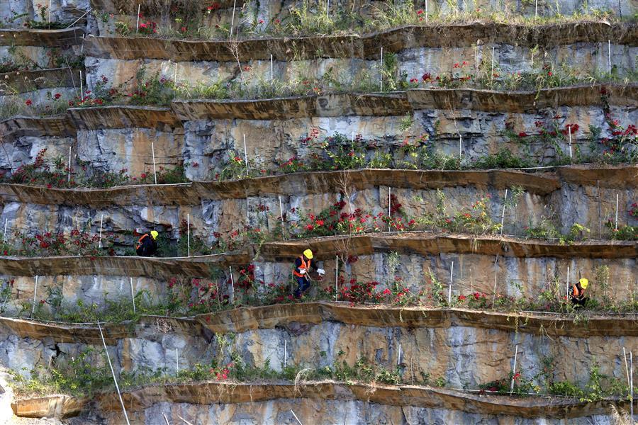 AG Club | The Originator of Live Casino