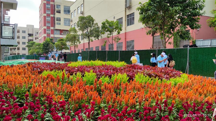 AG Club | The Originator of Live Casino