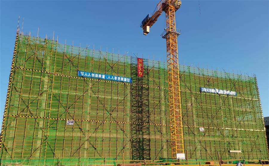 AG Club | The Originator of Live Casino