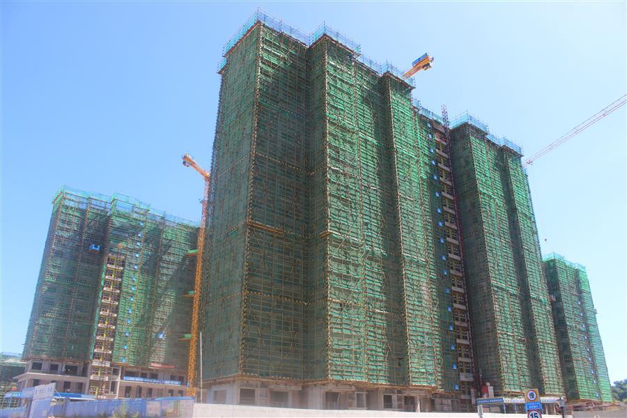 AG Club | The Originator of Live Casino