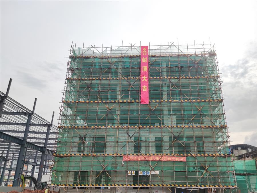 AG Club | The Originator of Live Casino