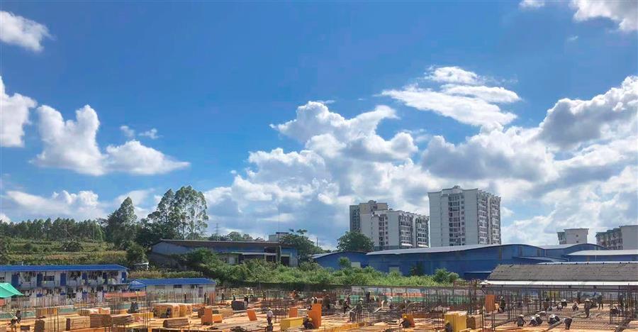 AG Club | The Originator of Live Casino