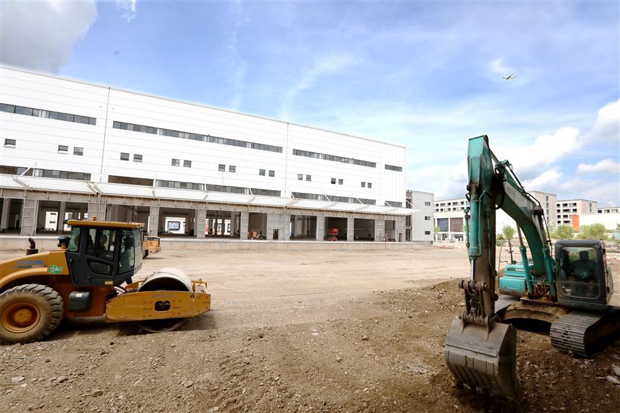 AG Club | The Originator of Live Casino