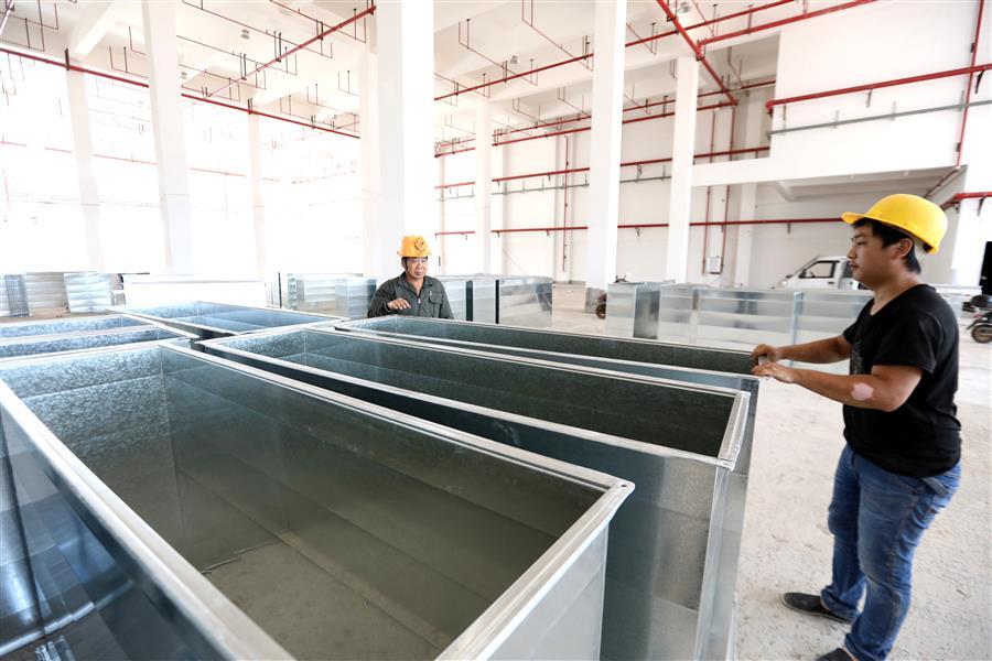 AG Club | The Originator of Live Casino