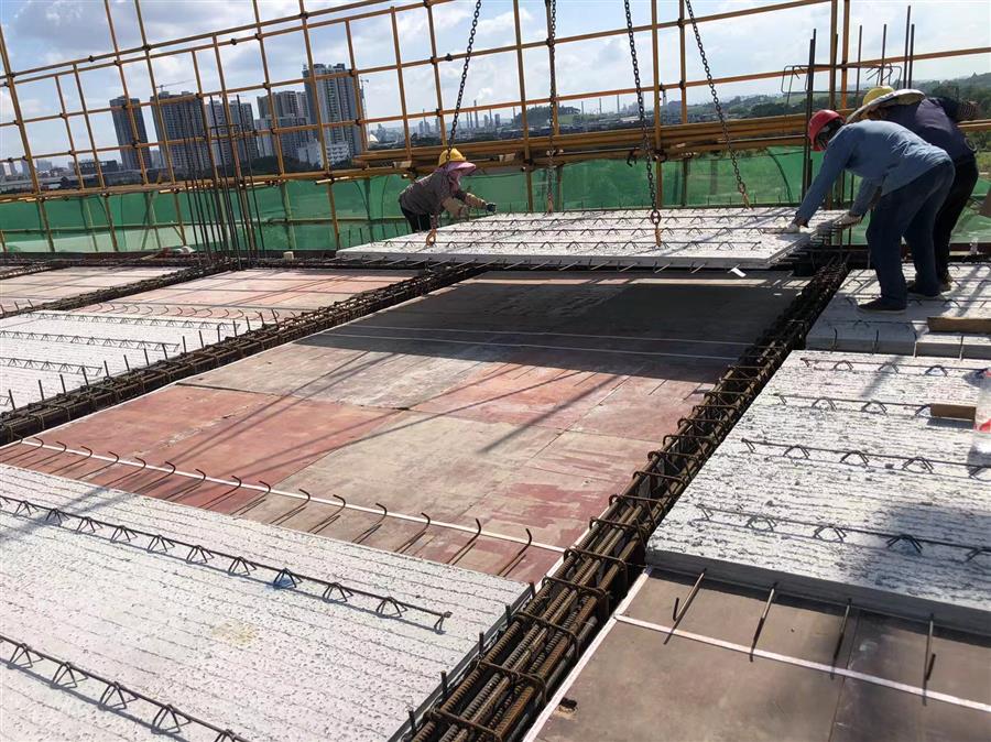 AG Club | The Originator of Live Casino