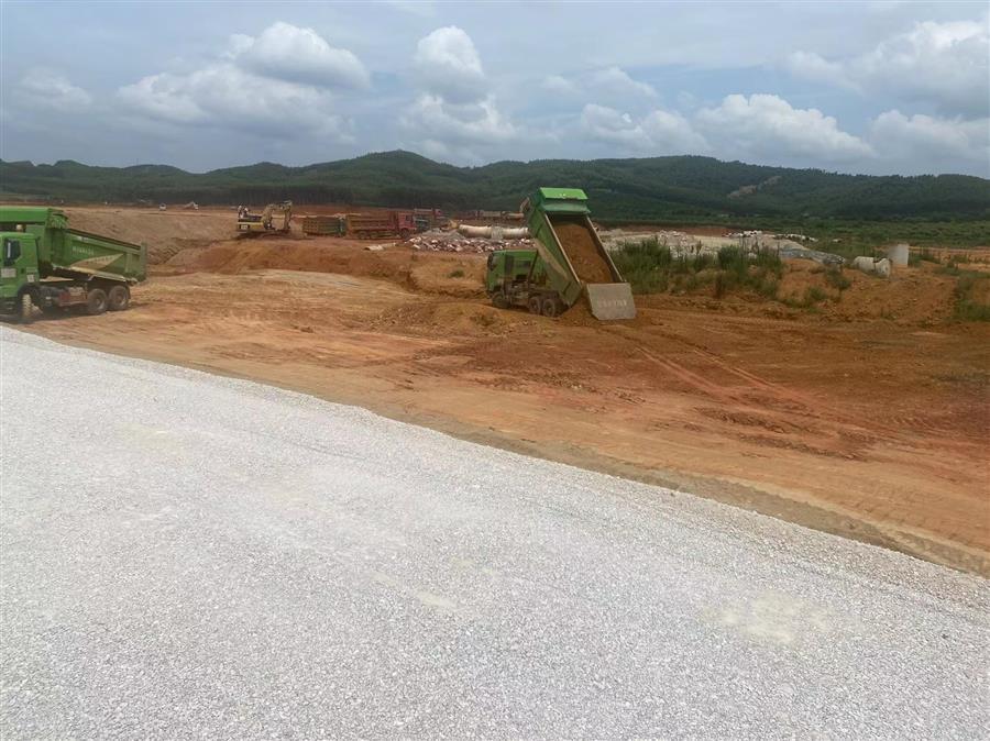 AG Club | The Originator of Live Casino