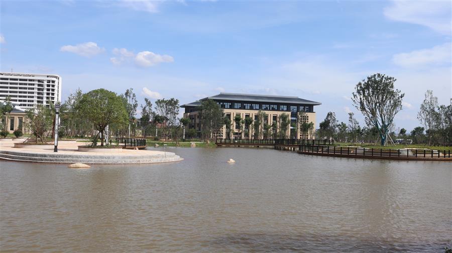 AG Club | The Originator of Live Casino