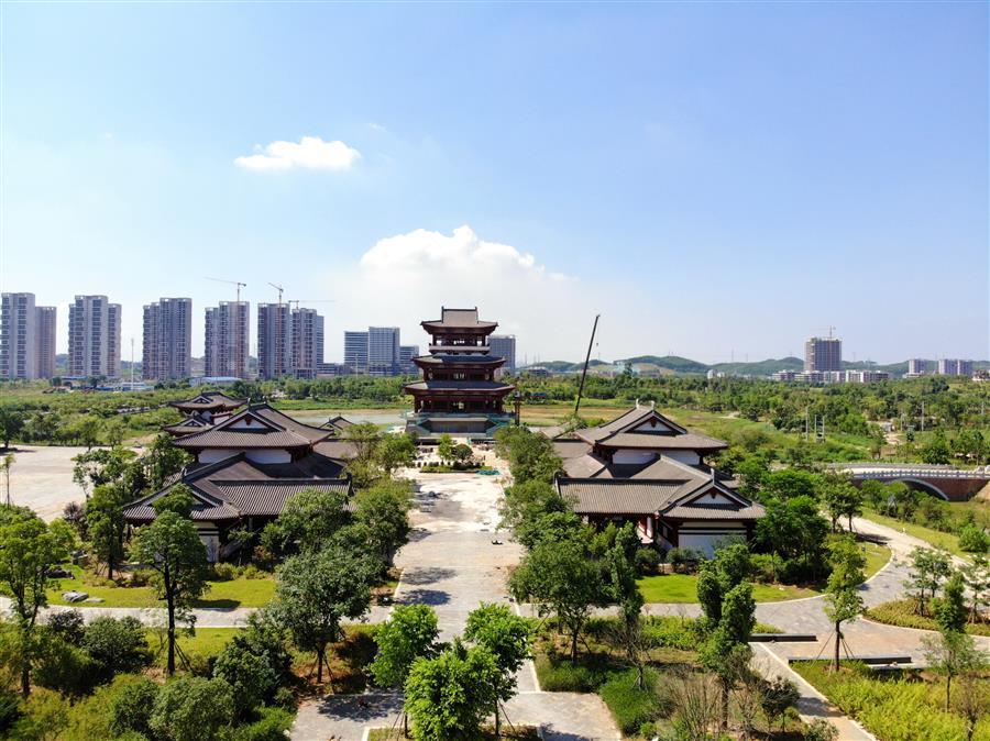 AG Club | The Originator of Live Casino