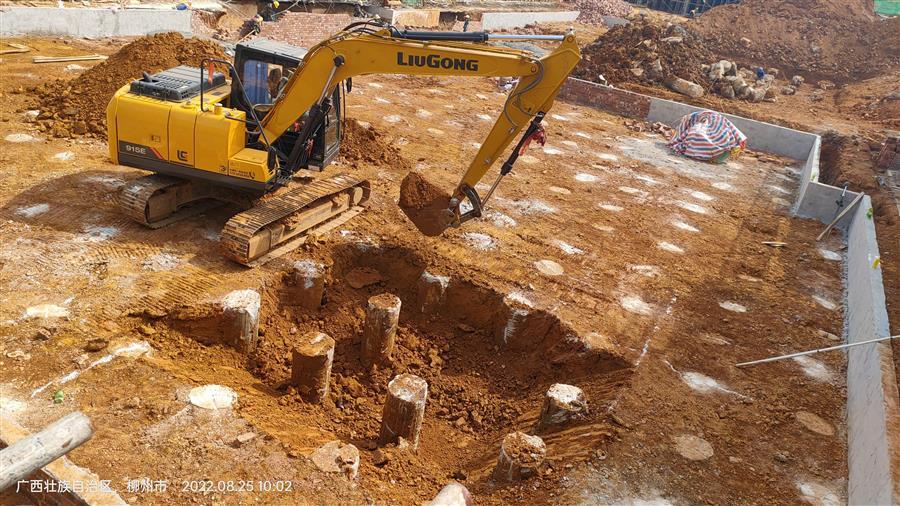 AG Club | The Originator of Live Casino