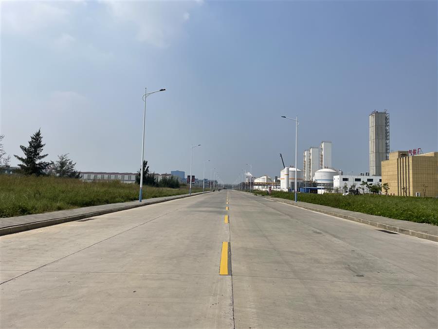 AG Club | The Originator of Live Casino