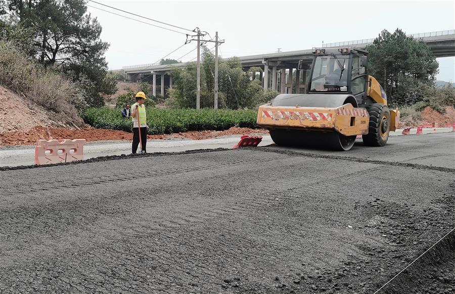 AG Club | The Originator of Live Casino