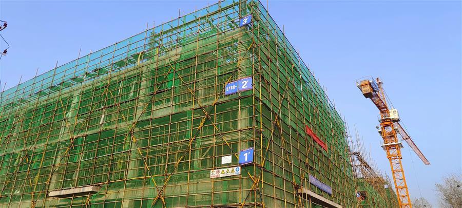 AG Club | The Originator of Live Casino