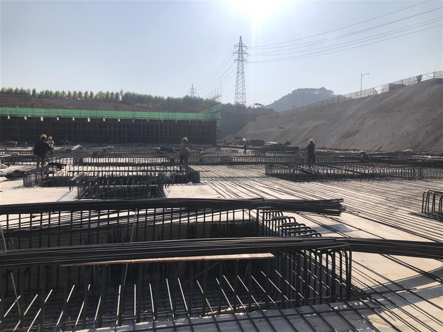 AG Club | The Originator of Live Casino