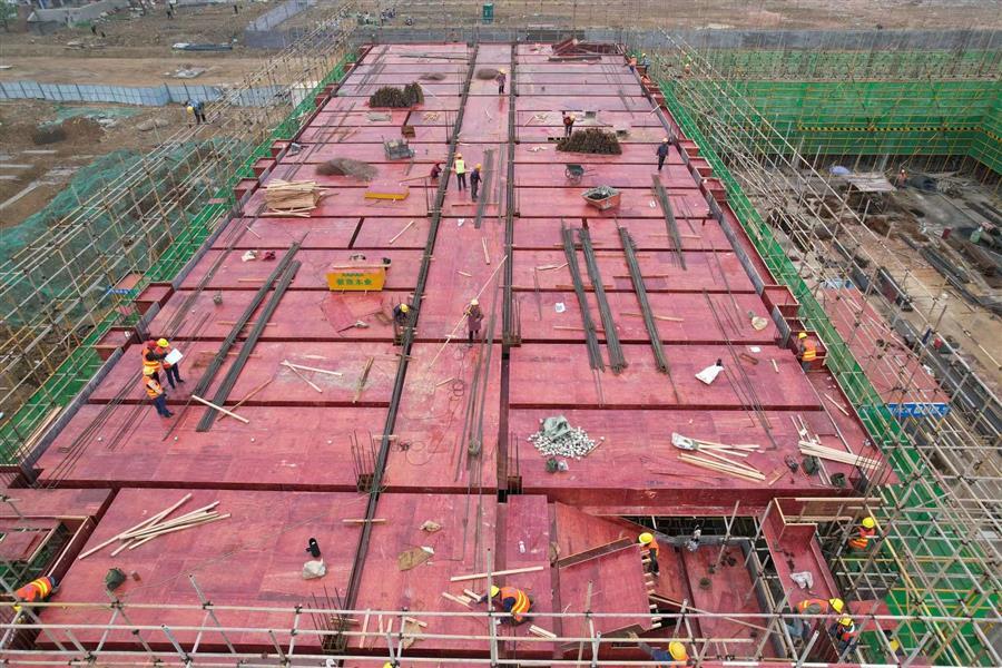 AG Club | The Originator of Live Casino