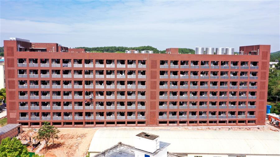 AG Club | The Originator of Live Casino