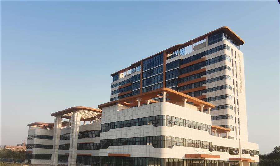 AG Club | The Originator of Live Casino