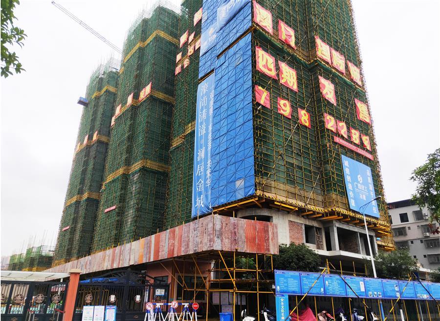 AG Club | The Originator of Live Casino