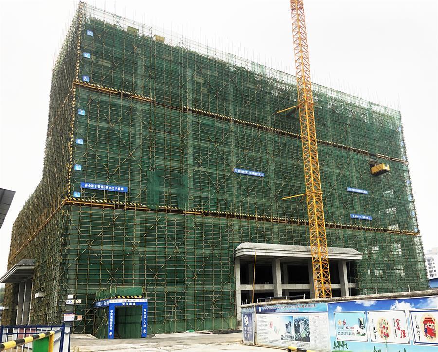 AG Club | The Originator of Live Casino