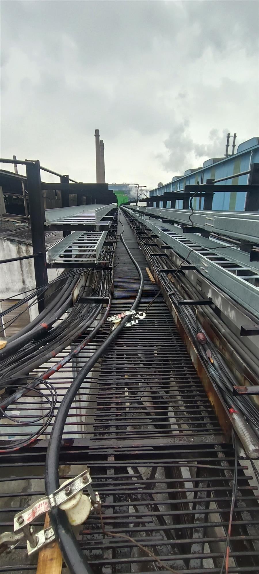 AG Club | The Originator of Live Casino