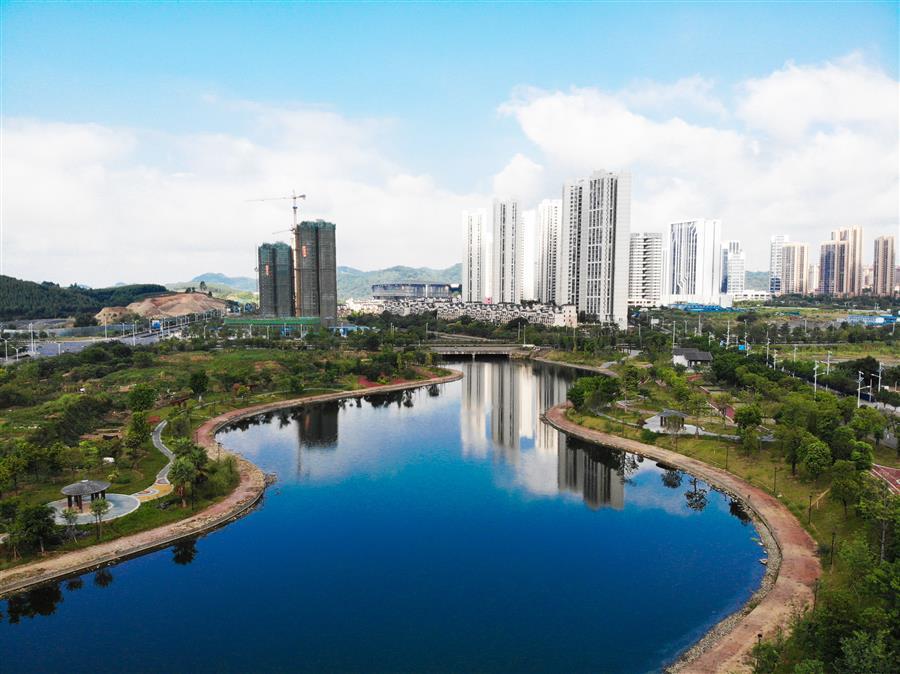 AG Club | The Originator of Live Casino