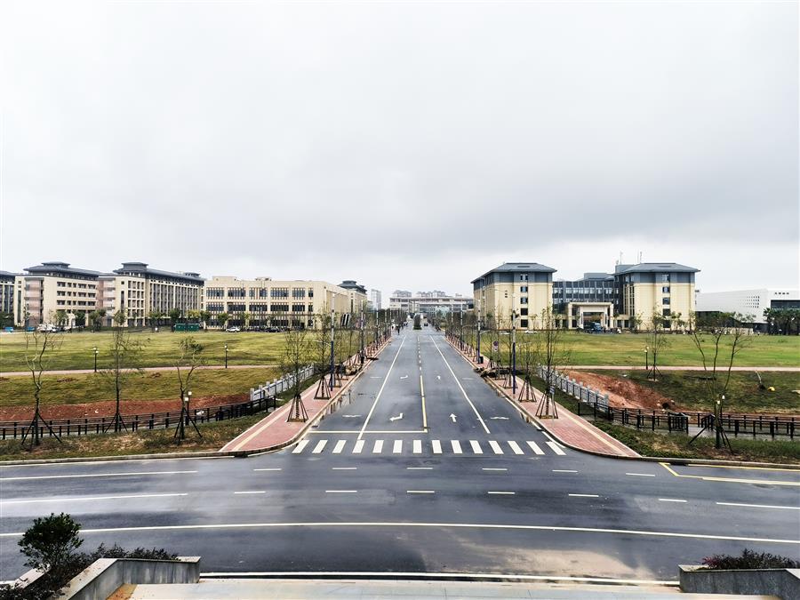 AG Club | The Originator of Live Casino