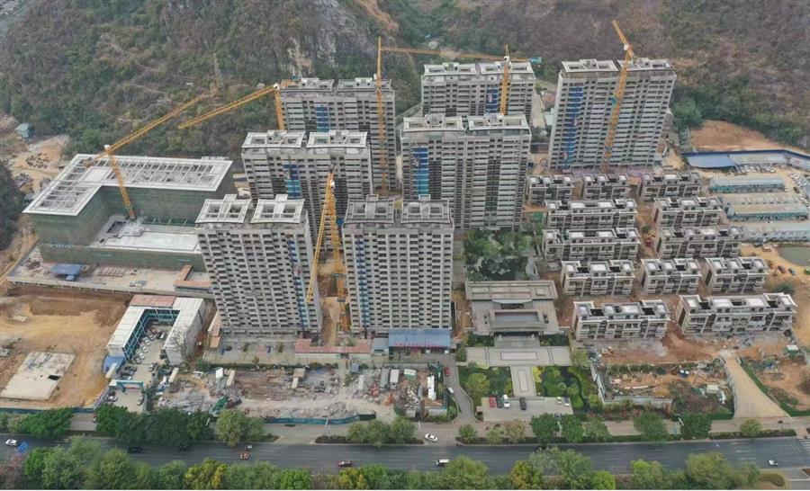 AG Club | The Originator of Live Casino