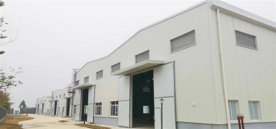 AG Club | The Originator of Live Casino