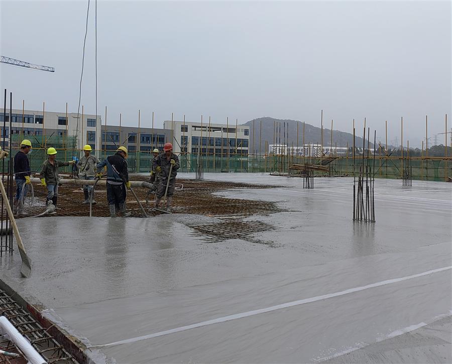 AG Club | The Originator of Live Casino