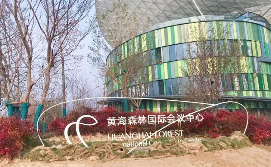 AG Club | The Originator of Live Casino