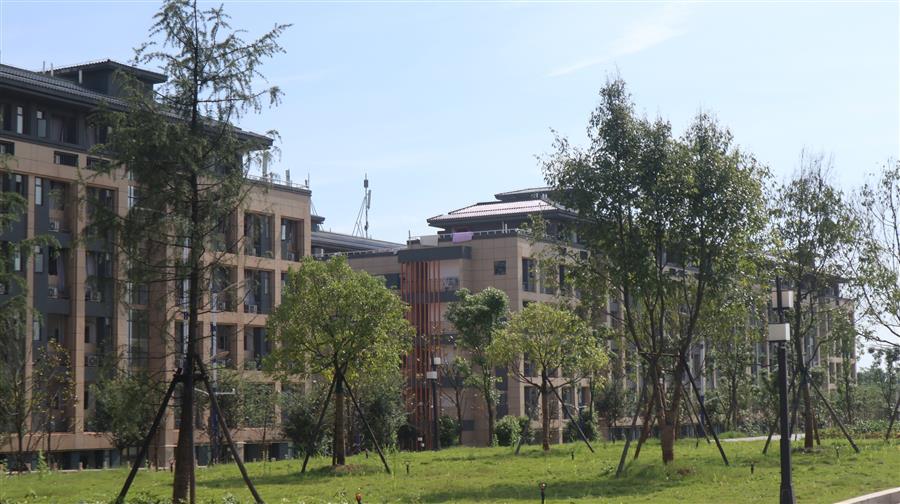 AG Club | The Originator of Live Casino