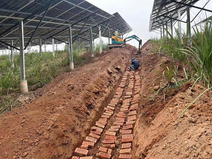 AG Club | The Originator of Live Casino