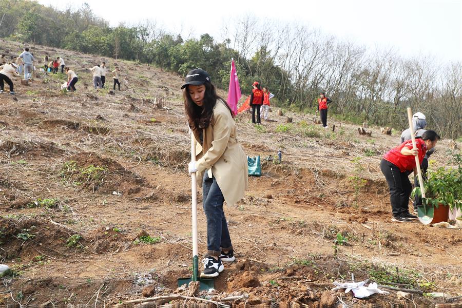 AG Club | The Originator of Live Casino